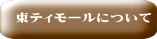 東ティモールについて